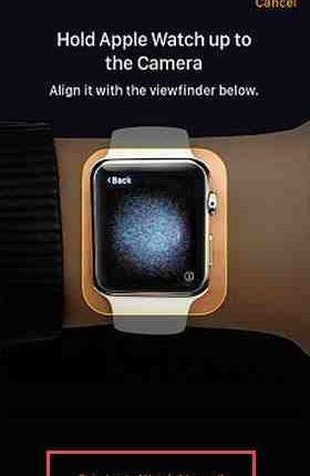 Can you browse the Internet on Apple Watch?