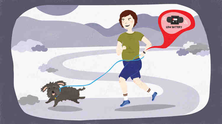 How many wearable devices are there?