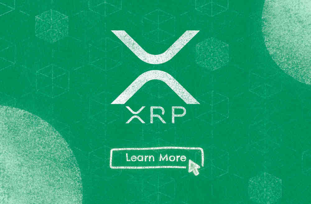 What s The Highest XRP Will Go Iotnewsdaily What s The Highest XRP Will Go Iotnewsdaily